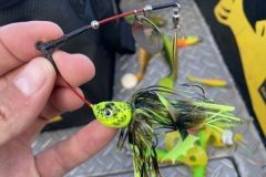 Der Flex Spinner ist ein Spinner Bait mit vielen Vorteilen