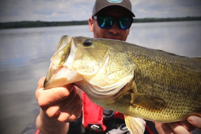 5 Spots, die du priorisieren solltest, um an sonnigen Tagen auf Blackbass zu angeln!