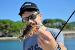 Rockfishing auf Felsenfische, die richtigen Bereiche finden, um erfolgreich zu sein