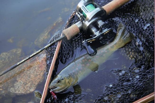 Besseres Kennenlernen des Forellenangelns mit Baitfiness, einer Technik, die das Gefhl verzehnfacht