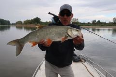 Fliegenfischen auf der Loire auf Rapfen in Begleitung von Lionel Guirado, eine schöne Herausforderung! Das Angeln des Rapfens mit der Fliege ist eine echte Herausforderung, die sich aber lohnt