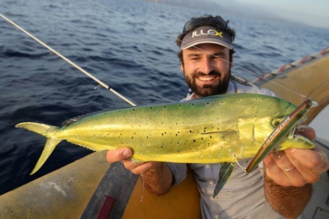 Die Goldbrasse, ein Sportfisch, der im Mittelmeer geangelt werden kann