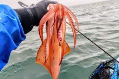 Angeln mit dem Kajak, die Bedeutung der Anpassung an die Wetterbedingungen Wissen, wie man seinen Fischfang anpasst