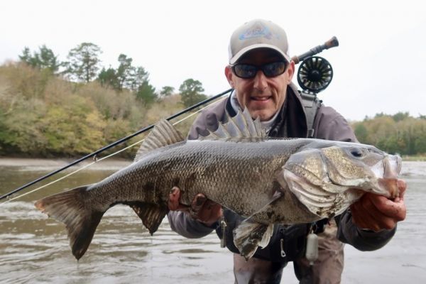 Fliegenfischen auf groe Barsche in der Bretagne, ein erfolgreicher Ausflug