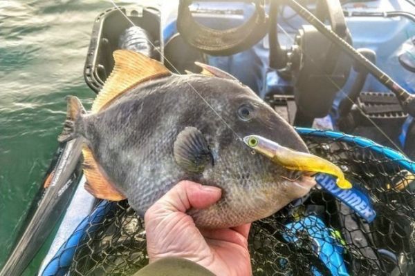 Angeln auf Winterfische mit dem Kajak, viele Möglichkeiten Angeln im Winter mit dem Kajak