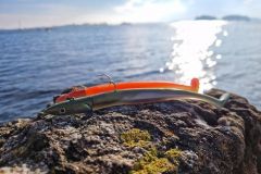 Das Crazy Paddle Tail 180 von Fiiish - eine überzeugende Neuheit