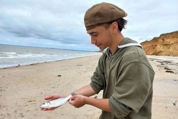 Surfcasting, zahlreiche und unterschiedliche Montagen, um gezielt zu fangen