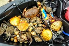 Ausflug zum Fischen am Strand