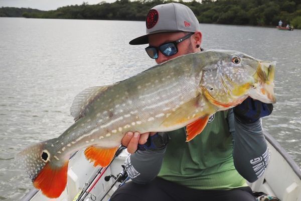 Letzter Tag auf dem Rio Tomo, um einen Peacock Bass mit Propbait zu fangen!