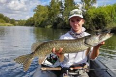 Hechtangeln mit Jerkbait Minnows, eine effektive Technik