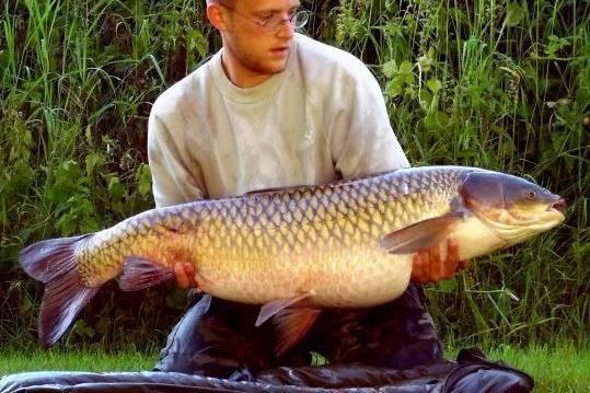 Weie Liebe, garantierte Sensationen fr Karpfenangler