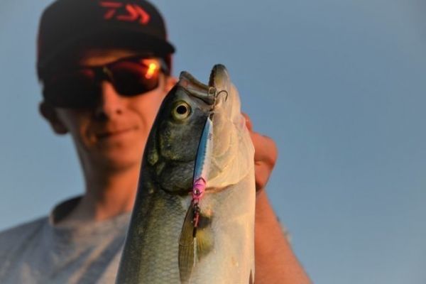 Tasselfischen mit Casting Jigs, effektiv zu jeder Jahreszeit