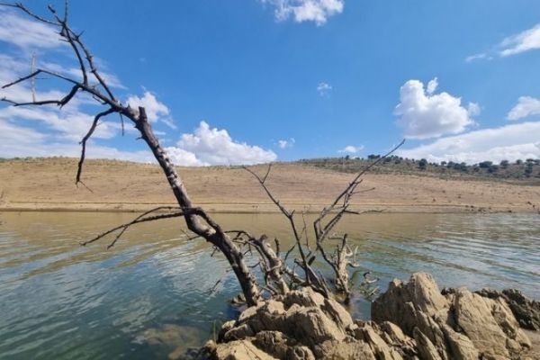 Der See La Serena, Feststellung der Fischpopulation