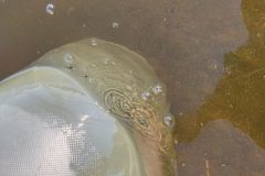 3 Möglichkeiten, einen Angelschlauch schnell und dauerhaft zu reparieren! Lecks an PVC-Float-Pipes können repariert werden.