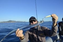 Mit Jigs auf Degenfisch angeln