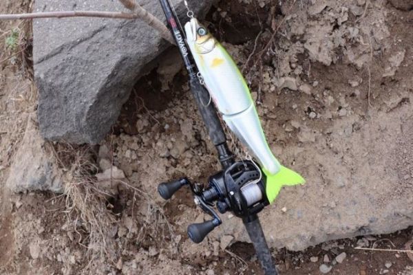 Starke Ausrstung, die man zum Angeln mit Giant Baits braucht