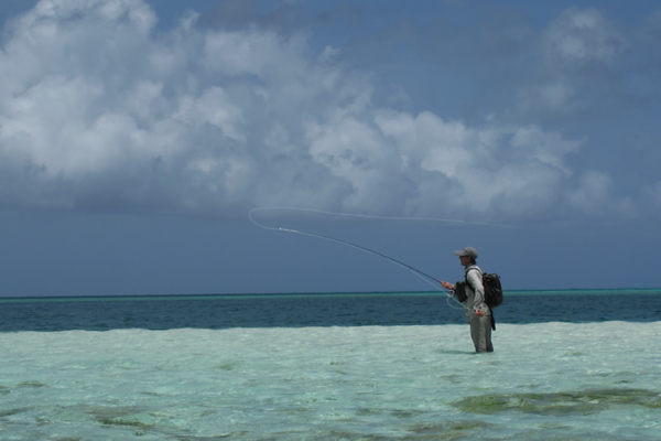 Lernen, beim Fliegenfischen gut ber weite Distanzen zu werfen