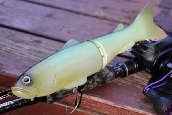 Deps New Slide Swimmer 250, im Laufe der Zeit immer top!