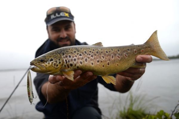 Forellenangeln mit Lipless Minnow, einem sehr effektiven Kder