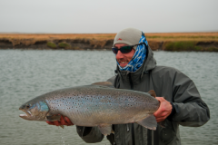 Die Meerforelle ist ein fantastischer Wanderfisch, der vor allem in Nordeuropa gesucht wird