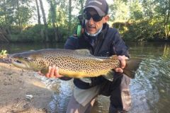 Meerforellen mit der Fliege angeln, welche Techniken sollte man anwenden? Wunderschöne Meerforelle aus der Normandie, gefangen mit Tube Fly durch gefärbtes Wasser. Ein toller Schnurschlag des Autors