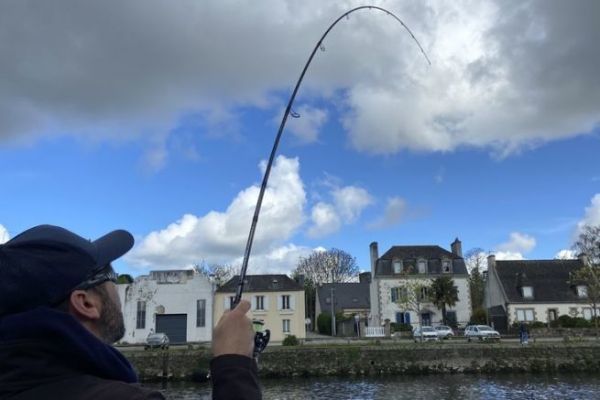 Banax bietet technische Ruten fr alle anspruchsvollen Angler an