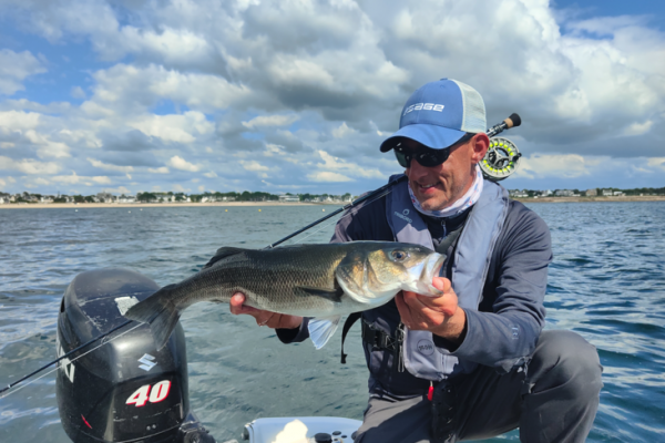Fliegenfischen auf Wolfsbarsch mit dem Boot in der Bretagne im Spätsommer Das Fliegenfischen auf Wolfsbarsch bietet immer wieder tolle Erlebnisse, von denen man kaum genug bekommen kann