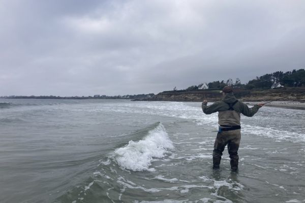 Fliegenfischen auf Wolfsbarsch am Strand, wo findet man die Fische?