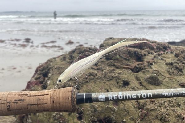 Fliegenfischen auf Wolfsbarsch am Strand: Ausrstung, Fliegen und Zubehr