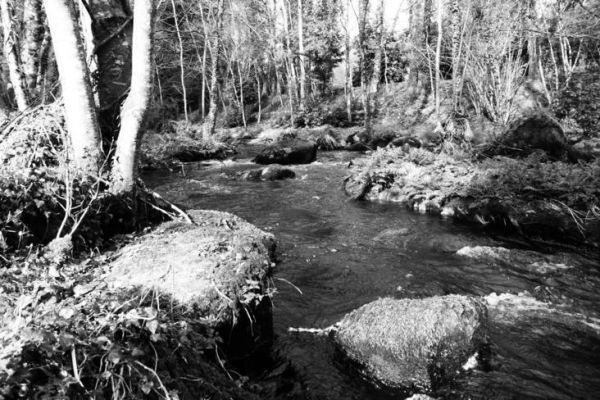 Wissen, wie man seinen Fluss beobachtet, um ihn besser lesen und verstehen zu können Lernen, den Fluss zu lesen