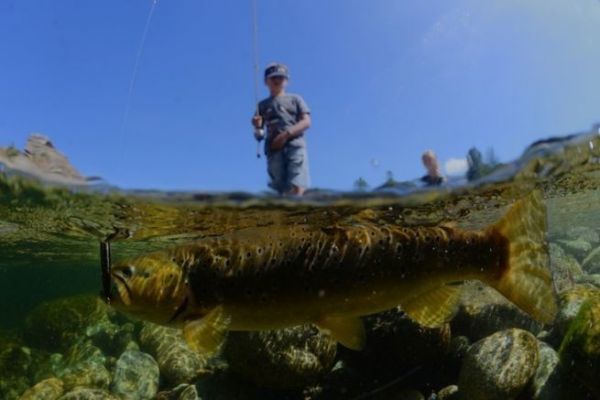 Forellenangeln mit dem vielseitig einsetzbaren Kder Lipless Minnow