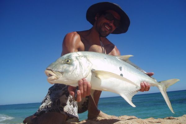 Australische Stachelmakrele