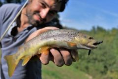 Forellenangeln mit Wirbellosenimitaten für schwierige Fische
