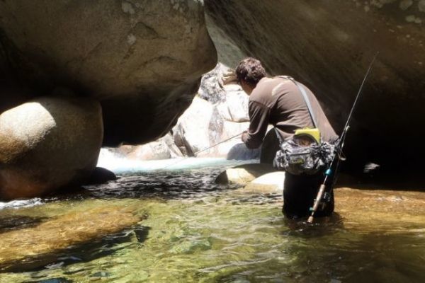 Forelle im Fluss, flussaufwrts oder flussabwrts fischen? Wie fischt man richtig flussaufwrts?