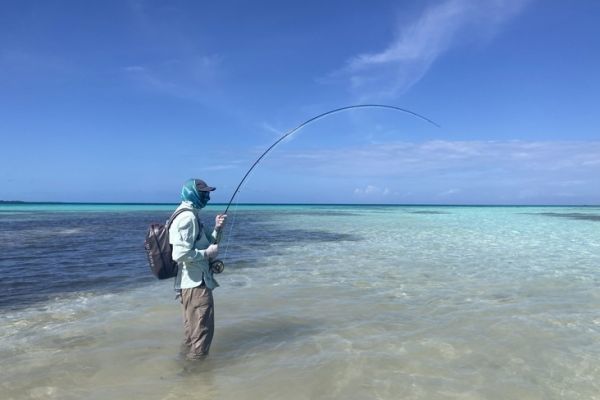 Der Archipel von Los Roques ist eines der besten exotischen Reiseziele der Welt