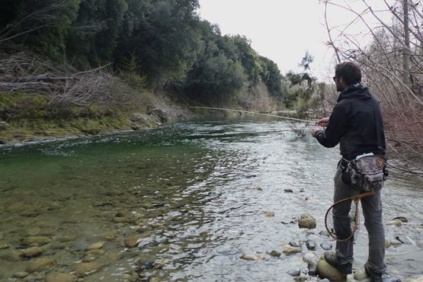 Forellenangeln im Fluss, wie fischt man richtig flussabwrts?