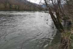 Forellenöffnung im großen Fluss, Gelegenheit zum Testen von Neuheiten Eine Eröffnung in einem großen Fluss