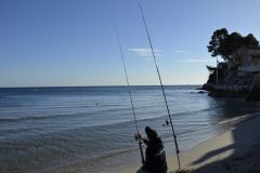 Surfcasting im Mittelmeer, verschiedene Fischarten zum Angeln Welche Fische kann man beim Surfcasting im Mittelmeer angeln?