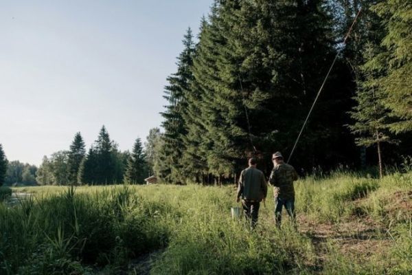 Richtig angeln auf Ukelei: Techniken und Tricks für diesen kleinen Fisch