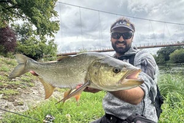 Angeln auf Rapfen mit Streetfishing, welche Strategie sollte man anwenden?