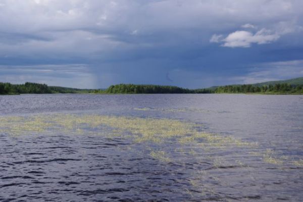 Seegraswiesen und Wasserpflanzen, diese guten Angelpltze!