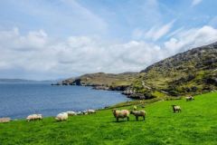 Irland ist ein Traumziel fr Angelfreunde