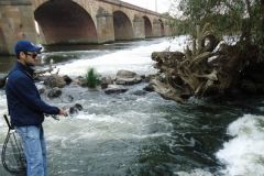 Angeln an der Loire in Nevers