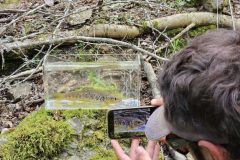 Ein Nano-Aquarium beim Angeln verwenden