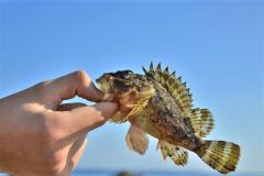 Rockfishing am Power Isome