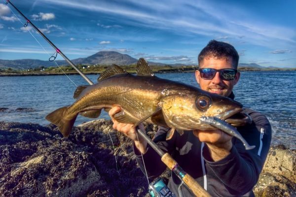 Angeln vom Ufer in Irland, die richtige Ausrstung fr die Jagd auf Pollacks