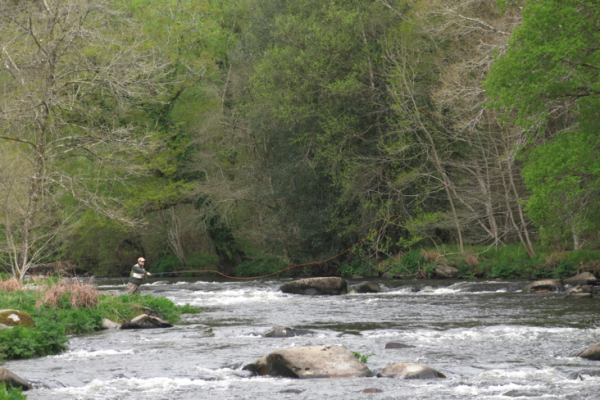 Fliegen: Die richtigen Grundlagen fr den Spey-Cast-Wurf