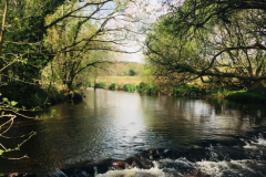 Der Aven ist ein wunderschner kleiner Fluss in der Sdbretagne, den Sie zwischen Ende April und der Schlieung entdecken knnen