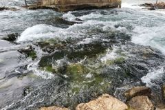 Wasser - eine heilige Ressource!