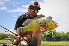 Streetfishing und Peacock-Bass - in Miami ist das mglich!